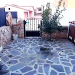 Lejlighed P I G O 's House Budoni