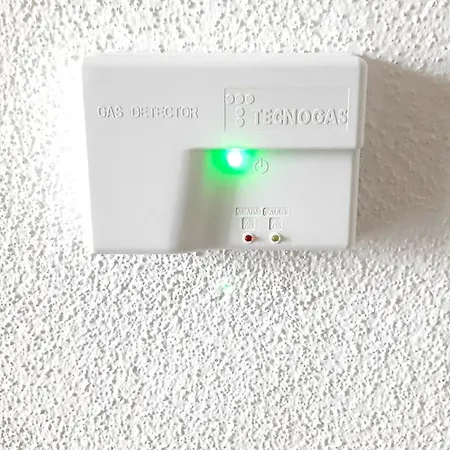 P I G O 's House בודוני