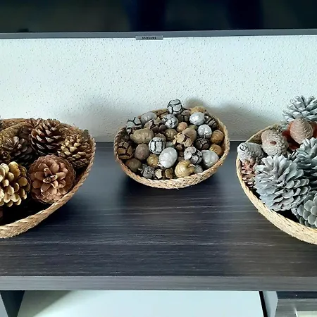 דירה P I G O 's House